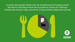 Pas si net Objectifs climatiques " z&eacute;ro &eacute;mission nette " : cons&eacute;quences sur l'&eacute;quit&eacute; fonci&egrave;re et alimentaire - ReliefWeb