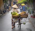 Fascination du Vietnam - du 19 novembre au 4 décembre 2022 (16 jours) - Un pays chargé d'histoire et des villes animées - Servrail