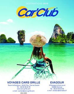 VOYAGES CARS GRILLE Route de Bordeaux 64121 Pau / Serres Castet - Cars-grille.com