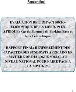 EVALUATION DE L'IMPACT SOCIO-ECONOMIQUE DE LA COVID-19 EN - COSYBU