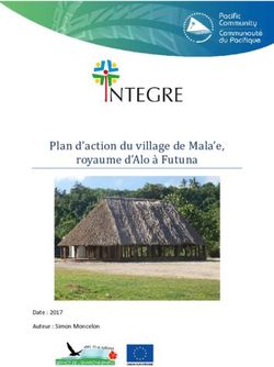 Plan d'action du village de Mala'e, royaume d'Alo a Futuna - Date : 2017 Auteur : Simon Moncelon