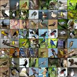 Application : traitement d'images - Margaux Luck École d'hiver francophone en apprentissage profond IVADO, MILA