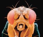 Digital humanities: des chiffres et des lettres . 10 - horizons