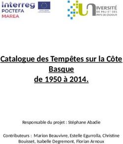 Catalogue des Tempêtes sur la Côte Basque de 1950 à 2014 - Responsable du projet : Stéphane Abadie Contributeurs : Marion Beauvivre, Estelle ...