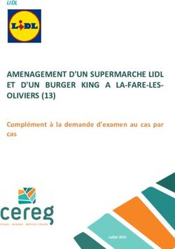 AMENAGEMENT D'UN SUPERMARCHE LIDL ET D'UN BURGER KING A LA-FARE-LES-OLIVIERS (13) - Complément à la demande d'examen au cas par cas