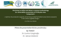 Pilote site presentation Düzlerçamı/Antalya By TURKEY