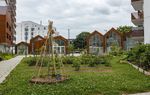 JOURNAL D'UN QUARTIER CULTIVÉ - TERRITOIRES RENNES