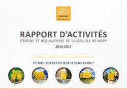 RAPPORT D'ACTIVIT&Eacute;S ORIGINE ET R&Eacute;ALISATIONS DE LA CELLULE BE WAPP 2016-2017