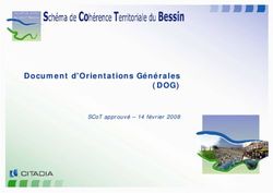 DOCUMENT D'ORIENTATIONS GÉNÉRALES - (DOG) SCOT APPROUVÉ - 14 FÉVRIER 2008