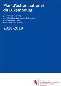 Plan D'action National Du Luxembourg 2018-2019 - Pour La Mise En Oeuvre ...