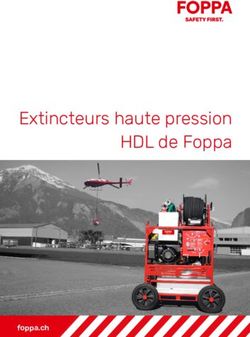 Extincteurs haute pression HDL de Foppa