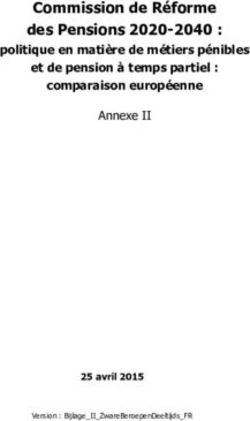 Commission de Réforme des Pensions 2020-2040 : politique en matière de métiers pénibles et de pension à temps partiel : comparaison européenne ...