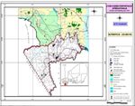 PLAN D'ACTION POUR LES ZONES HUMIDES DU NIGER