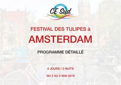 AMSTERDAM FESTIVAL DES TULIPES &agrave; - PROGRAMME D&Eacute;TAILL&Eacute; - CE Sud Manpower