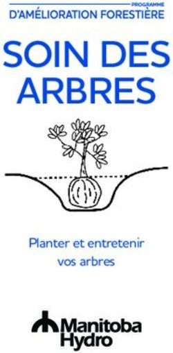 SOIN DES ARBRES Planter et entretenir vos arbres