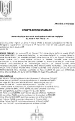 COMPTE-RENDU SOMMAIRE - Mairie de Perpignan