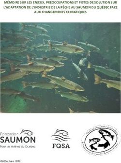 MÉMOIRE SUR LES ENJEUX, PRÉOCCUPATIONS ET PISTES DE SOLUTION SUR L'ADAPTATION DE L'INDUSTRIE DE LA PÊCHE AU SAUMON DU QUÉBEC FACE AUX CHANGEMENTS ...