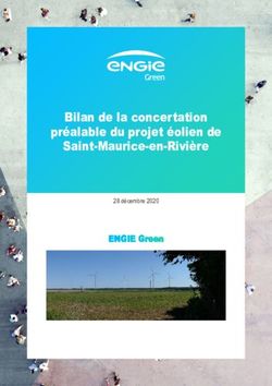 Bilan de la concertation préalable du projet éolien de Saint-Maurice-en-Rivière - 28 décembre 2020