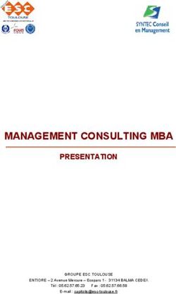 MANAGEMENT CONSULTING MBA - PRESENTATION - GROUPE ESC TOULOUSE ENTIORE - 2 Avenue Mercure - Ecoparc 1 - 31134 BALMA CEDEX