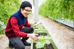Perspectives de l'OCDE sur les PME et l'entrepreneuriat - L'Essentiel