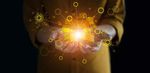 Perspectives de l'OCDE sur les PME et l'entrepreneuriat - L'Essentiel