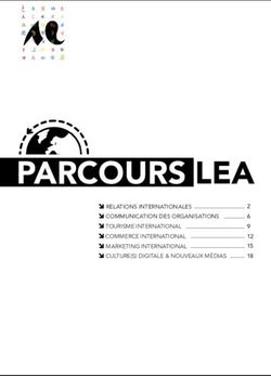 PARCOURS LEA RELATIONS INTERNATIONALES COMMUNICATION DES ORGANISATIONS TOURISME INTERNATIONAL COMMERCE INTERNATIONAL MARKETING INTERNATIONAL ...