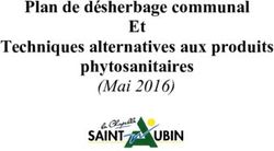 Plan de désherbage communal Et Techniques alternatives aux produits phytosanitaires - (Mai 2016)