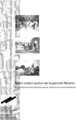 Safari urbain autour de la gare de Renens - Synthèse de la visite et des discussions, réflexions et recommandations - UNIL