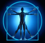 POSTUROLOGIE FORMATIONS M&Eacute;DICALES & PARAM&Eacute;DICALES - LE DIAGNOSTIC POSTURAL, UN OUTIL INDISPENSABLE &Agrave; LA PRISE