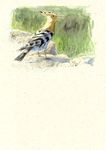 RANDONN&Eacute;E ORNITHOLOGIQUE - EN C&Ocirc;TE-D'OR PETIT GUIDE - cotedor.fr