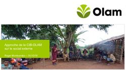 Approche de la CIB-OLAM sur le social externe - CIDT