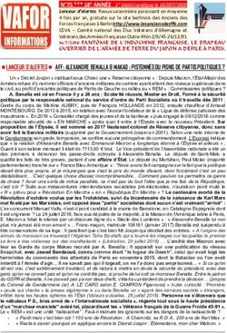 LANCEUR D'ALERTES AFF : ALEXANDRE BENALLA & MAKAO : PISTONN&Eacute;S OU PIONS DE PARTIS POLITIQUES ? - Les anciens des FFB