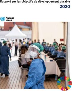 2020 Rapport sur les objectifs de développement durable - UNSD