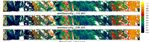 LES MISSIONS SPATIALES LIDAR