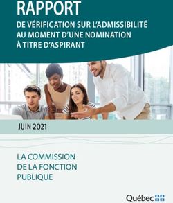 RAPPORT DE V&Eacute;RIFICATION SUR L'ADMISSIBILIT&Eacute; AU MOMENT D'UNE NOMINATION &Agrave; TITRE D'ASPIRANT