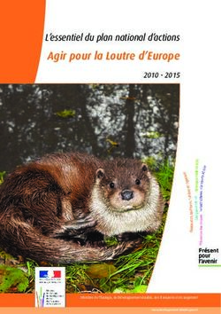 Agir pour la Loutre d'Europe - L'essentiel du plan national d'actions 2010 2015 - Sfepm