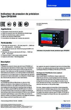 Indicateur de pression de précision Type CPG2500 - Wika