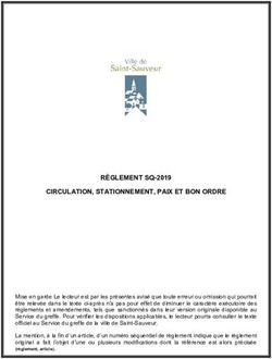 RÈGLEMENT SQ-2019 CIRCULATION, STATIONNEMENT, PAIX ET BON ORDRE