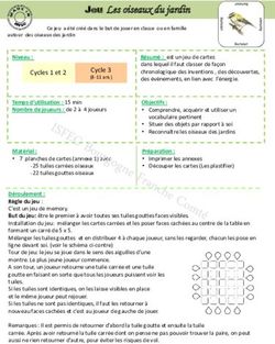 Jeu Les oiseaux du jardin - CUCDB isfec