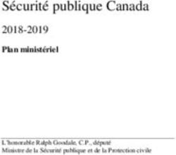 Sécurité publique Canada - 2018-2019 Plan ministériel - Public Safety Canada