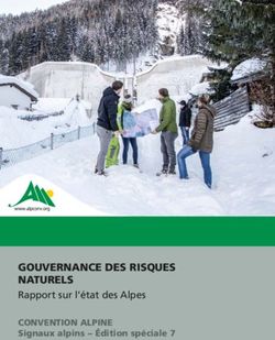 GOUVERNANCE DES RISQUES NATURELS - Rapport sur l'état des Alpes CONVENTION ALPINE